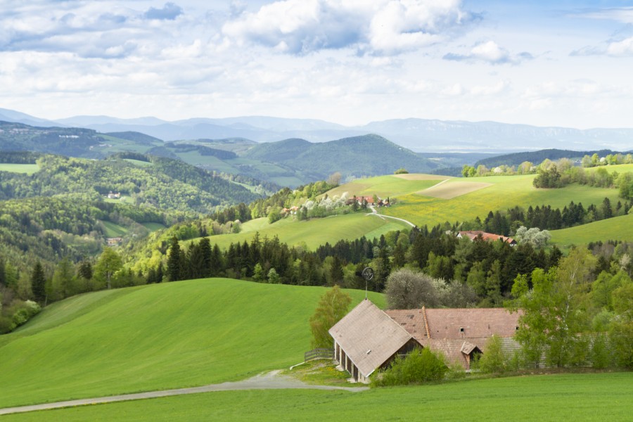 Titelbild c Viktoria Kornfeld v2